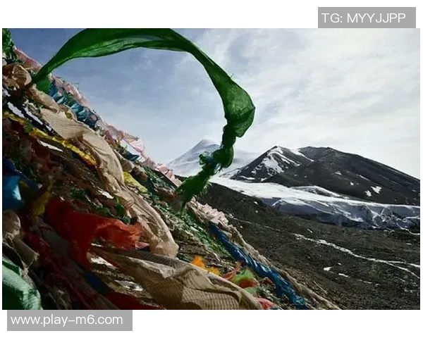 阿洛伊西告别海港执教生涯的辉煌篇章将永载心中