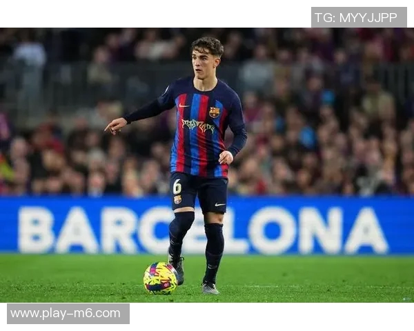 加维恢复进展顺利有望在明年二月重返赛场